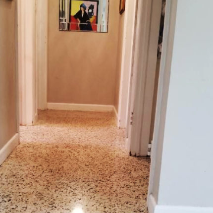 Terrazzo Floor Care