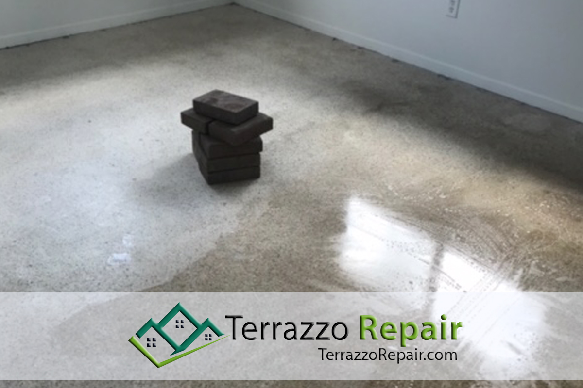 Best Terrazzo Cleaners Service Broward