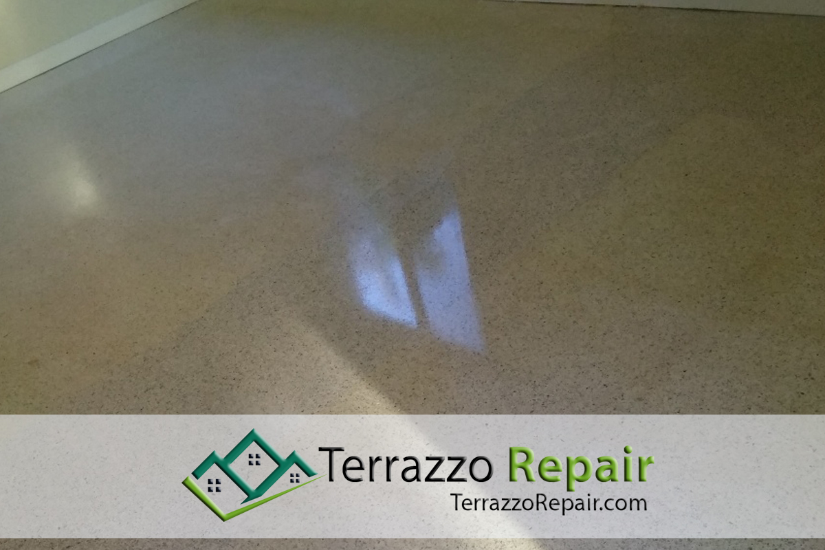 Clean Polishing Terrazzo Floors Broward