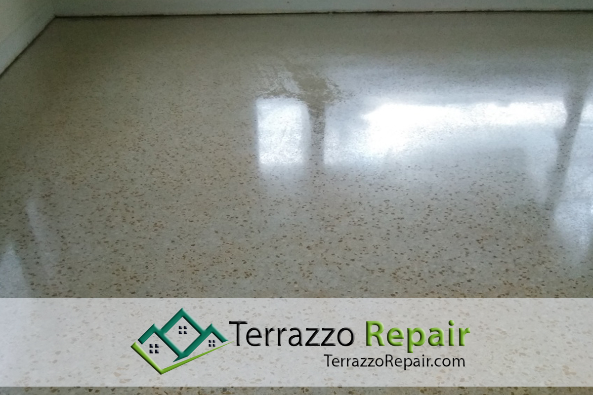 Terrazzo Floor Cleaning Process Broward